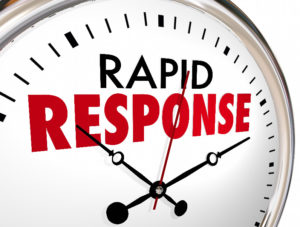 Rapid Response Plumbers Emergency Fast Action Solutions